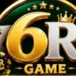 6R game