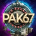 Pak67 Game