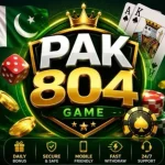 PAK804 Game