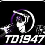 TD1947 Game